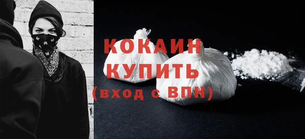spice Инсар