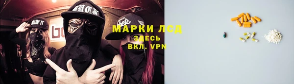 spice Инсар