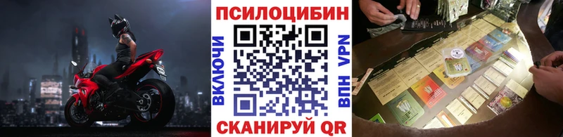 где можно купить наркотик  кракен маркетплейс  Псилоцибиновые грибы Psilocybe  Чегем 